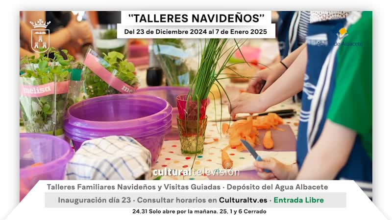 TALLERES NAVIDEÑOS